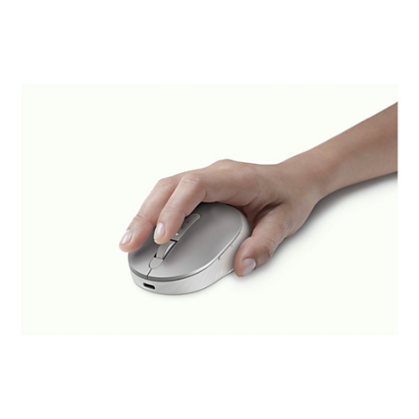 Une main tenant une souris grise, se fondant dans un fond blanc.