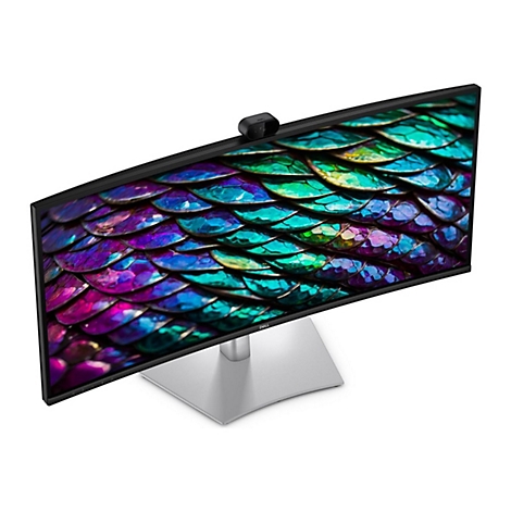 Ein breiter Dell Monitor mit silbernem Standfuß, Webcam oben am Rand und farbenfrohem Schuppenmuster-Hintergrund.