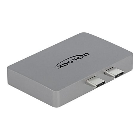 Silberner Delock USB-C Adapter mit zwei Anschlüssen auf weißem Hintergrund.