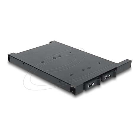 Schwarze Einschubvorrichtung für Server-Racks mit zwei Verriegelungsmechanismen auf weißem Hintergrund.