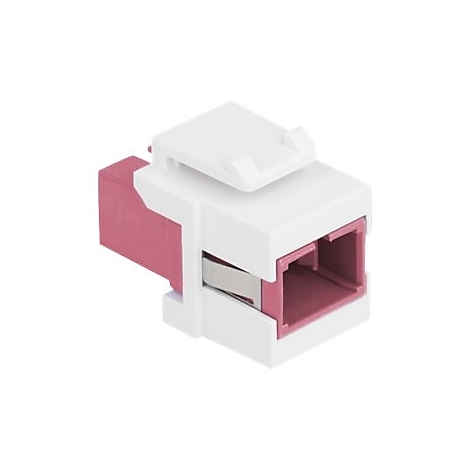 Ein weißes Keystone-Modul mit einem pinkfarbenen Einsatz vor weißem Hintergrund.