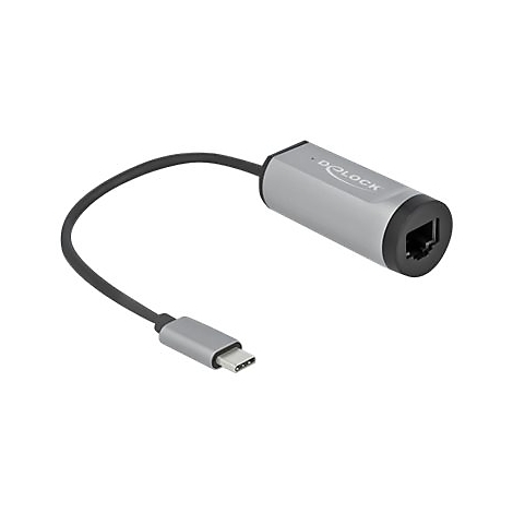 Silberner USB-C auf Gigabit Ethernet Adapter von Delock mit kurzem schwarzen Kabel vor weißem Hintergrund.