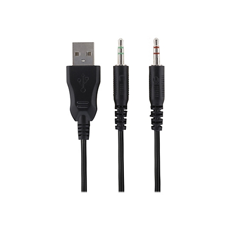 Connecteur USB à côté de deux prises jack 3,5 mm. Le connecteur USB et les prises jack sont noirs.