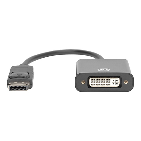 Adaptateur noir avec connecteurs DisplayPort et DVI. L'adaptateur est utilisé pour connecter des écrans.
