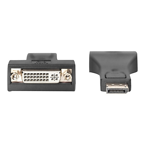 Deux adaptateurs noirs, l'un avec un connecteur DVI et l'autre avec un mini DisplayPort.