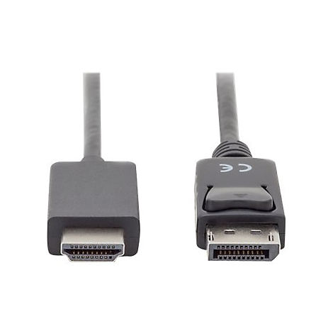 Zwei Enden eines grauen HDMI-Kabels. Links ein HDMI-Stecker, rechts ein DisplayPort-Stecker.