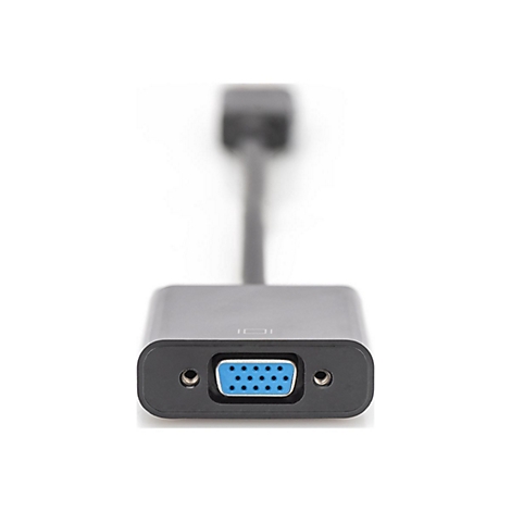 Ein grauer VGA-Adapter mit blauem Anschluss, Kabel und weißem Hintergrund.