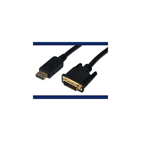 Schwarzes DisplayPort-Kabel mit DVI-Anschluss. Beide Enden sind im Detail zu sehen.