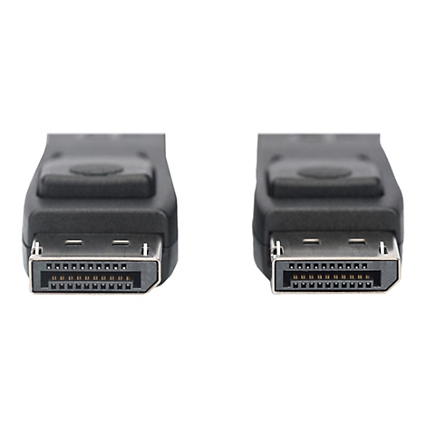Zwei schwarze DisplayPort-Stecker auf weißem Hintergrund. Stecker mit kleinen Pins, in Nahaufnahme.