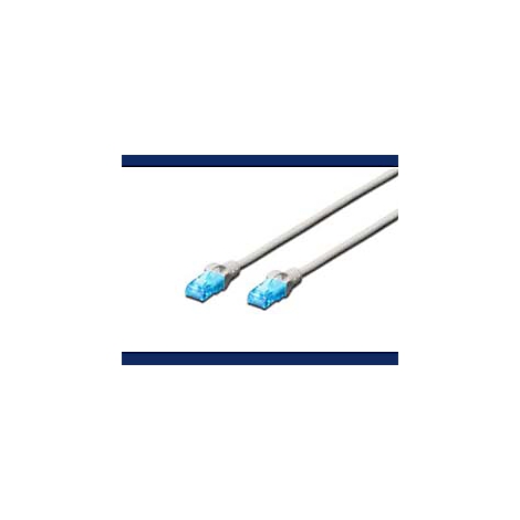 Zwei graue Netzwerkkabel mit blauen Steckern, die auf weißem Hintergrund liegen.