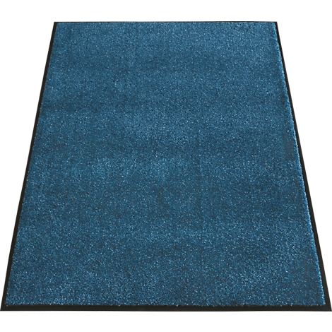 Blue rug with black border. On a white background.
