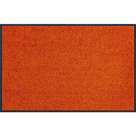 Orange carpet with dark blue border.