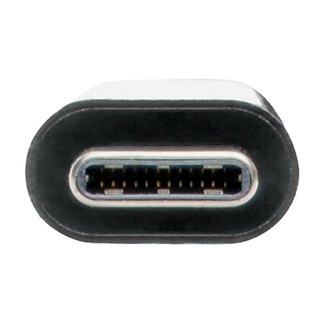 Nahaufnahme eines USB-C-Anschlusses. Schwarzes Oval mit silbernem Innenbereich, goldenen Pins.