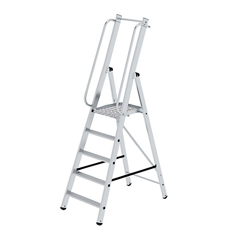 Une échelle en argent avec cinq marches et une rampe. L'échelle est posée sur un fond blanc.