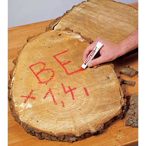 A person writes "BE * 1.41" with a red marker on a tree trunk.