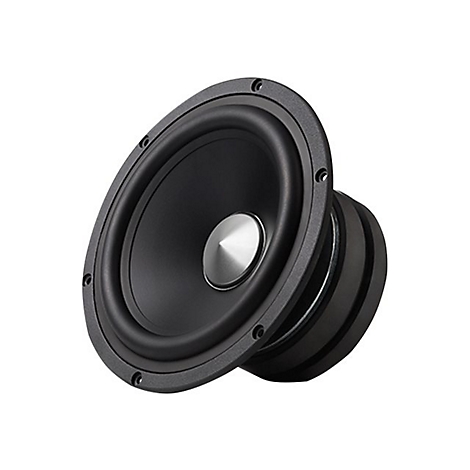 Schwarzer HiFi-Lautsprecher mit silberner, konischer Staubschutzkappe vor weißem Hintergrund.