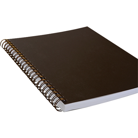 Brown spiral notebook. The wire binding is gold, the pages are white. The cover is plain.