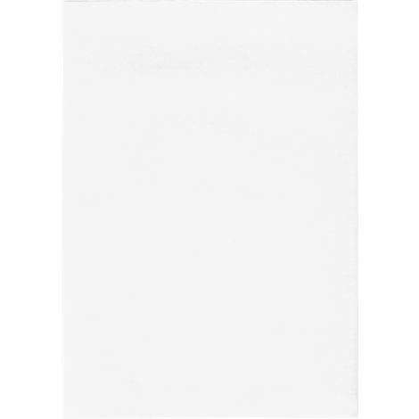 White rectangle on a white background. Empty space.
