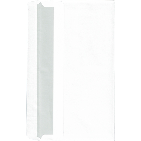 Transparent document protection sleeve with a white vertical stripe on the left edge.