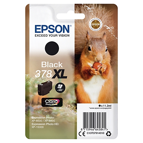 Epson Tintenpatrone, ein Eichhörnchen mit Nuss im Maul.