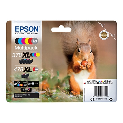 Epson-Tintenpatronen-Verpackung, auf der ein Eichhörnchen mit einer Nuss abgebildet ist.
