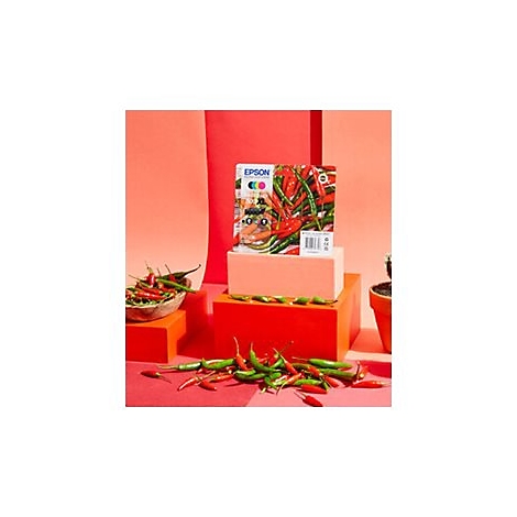 Produktverpackung mit Chilis auf roten Blöcken. Hintergrund rot. Epson Logo, rote und grüne Chilis. 