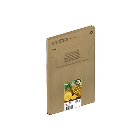 Brauner Karton mit Epson-Logo und Ananas-Abbildung. Text: Epson Easy Mail Packaging, 604.