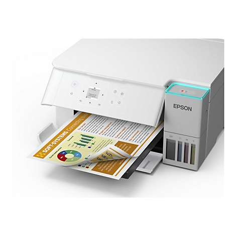 Imprimante Epson blanche imprimant un rapport en couleur. Le papier porte la mention "SOFT-SYSTEMS Connecting busi" et affiche des graphiques.