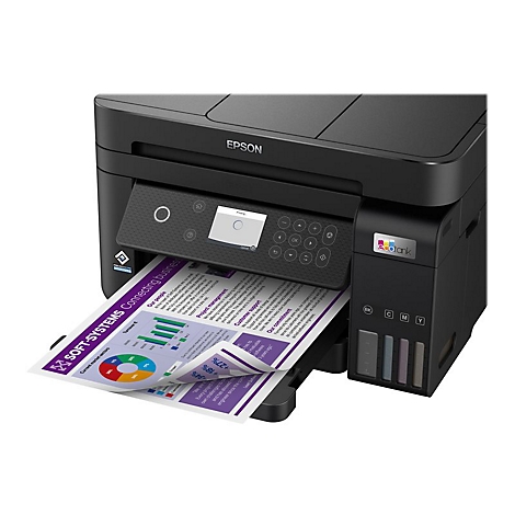 Schwarzer Drucker mit ausgegebenem Blatt. Darauf Diagramme und Schriftzug SOFT-SYSTEMS.