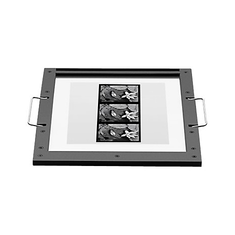 Schwarz-Weiß-Foto auf einem grauen Rahmen mit Griffen: dreifach geteiltes Bild von Seerosen und Blättern.