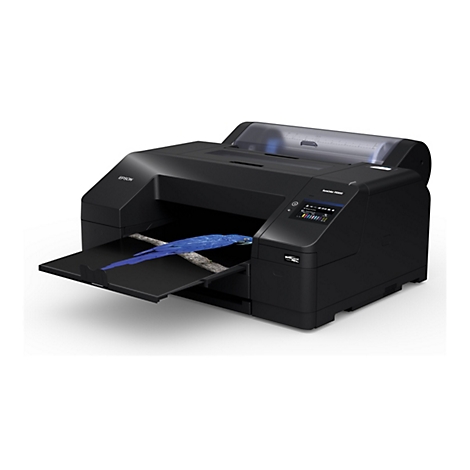 Schwarzer Drucker mit offenem Fach, auf dem ein blauer Vogel auf einem Ast liegt. Auf dem Drucker steht Epson SureColor P5300.