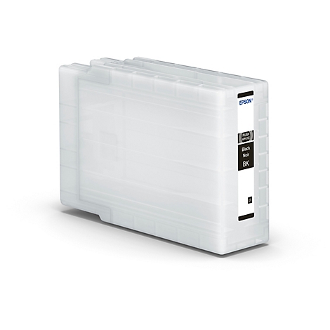 Hellgraue Druckerpatrone. Aufschrift: Schwarz/Noir/BK. Logo Epson.