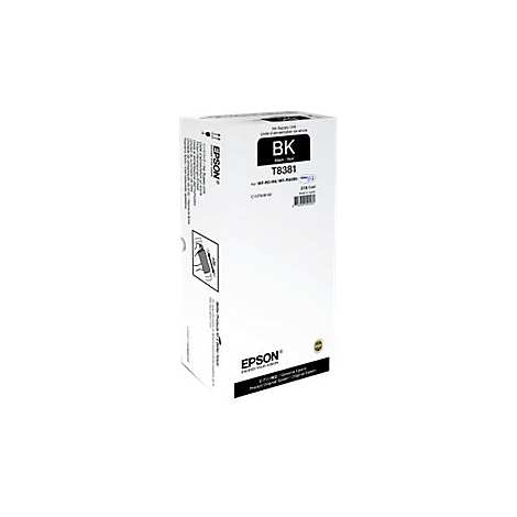 Eine weiße Epson Tintenpatronen-Verpackung mit schwarzem Text und Logo.