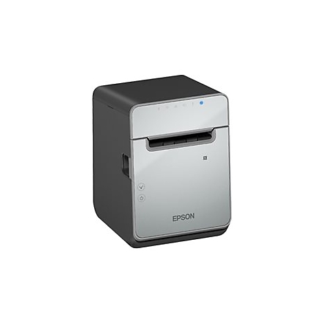 Drucker, grau-schwarz, Epson-Logo. Oben Leuchtelemente, unten zwei Knöpfe. Papierausgabe vorn.
