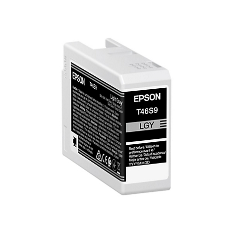 Une cartouche d'encre grise Epson avec l'inscription T46S9 LGY.