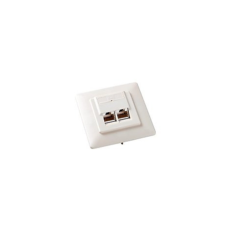 WeiÃŸe Doppel-RJ45-Netzwerksteckdose mit zwei Buchsen, teilweise geÃ¶ffnetem Deckel und quadratischer Abdeckplatte.