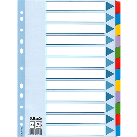 Transparent index pocket with 12 coloured indexes, punched for A4 format. Esselte logo bottom left.