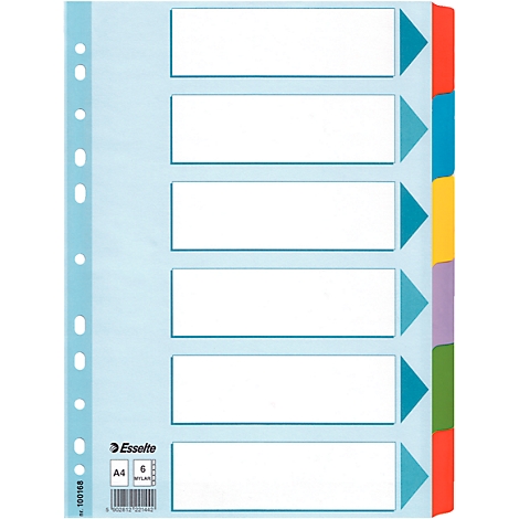 Clear pocket with 6 colored tabs. The pocket is blue and has holes for filing.