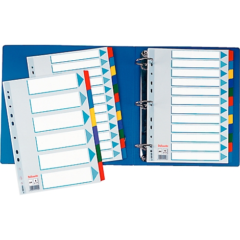 Blue binder with tab dividers and inserted sheets that can be labeled with text.