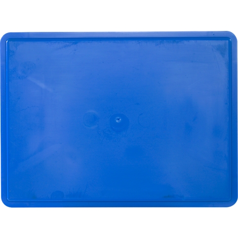 Rectangular blue plastic plate with slightly rounded corners and a small dot in the middle.