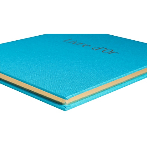 Türkisblaues Buch mit goldener Schrift: Livre d'Or. Helles Cover, goldene Seiten.