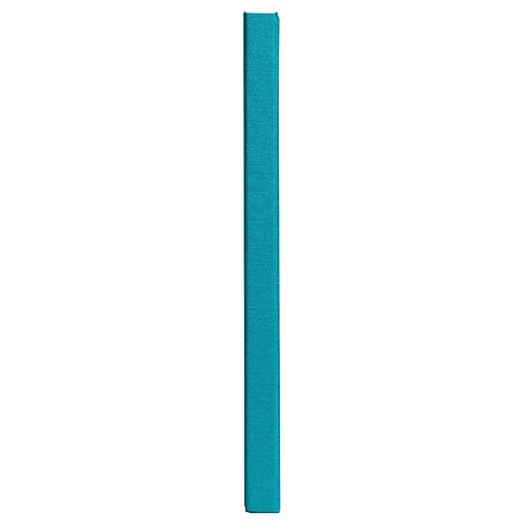 Une barre verticale bleu turquoise sur fond blanc.