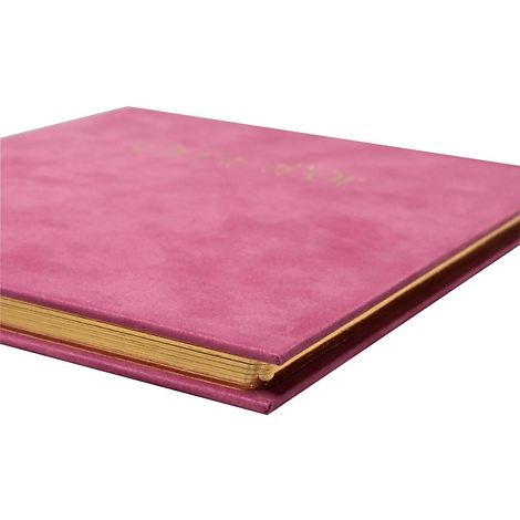 Un livre rose en velours, avec des tranches dorées et des lettres dorées.