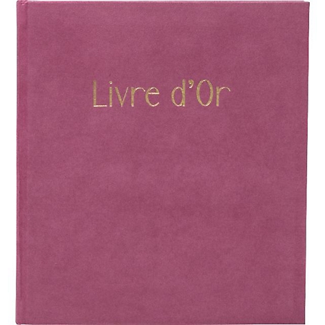 Un livre rose avec l'inscription dorée "Livre d'Or".