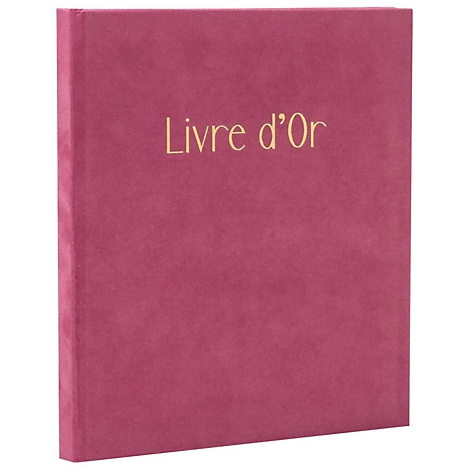 Livre bordeaux, lettrage doré: Livre d'Or.