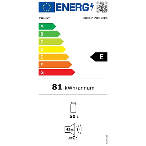 Energielabel eines Kühlschranks mit den Angaben: Energieeffizienzklasse E, 81 kWh/annum, 50 L, 41 dB.