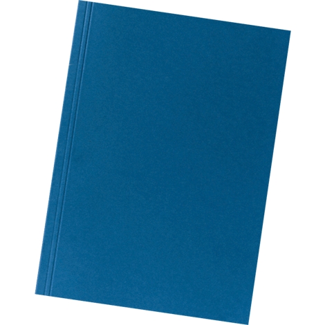 Blue file with embossed spine. Oblique perspective.