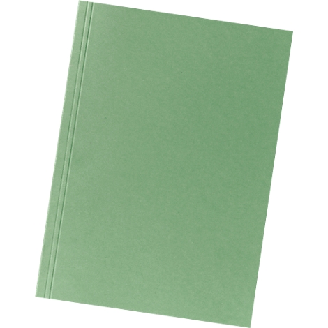Light green paper folder, with three vertical grooves on the left side.