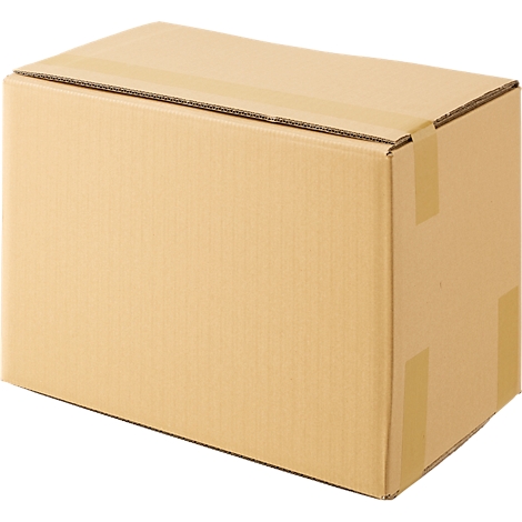 Brauner Karton. Er ist mit Klebeband verschlossen.