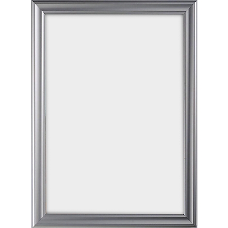 Silver picture frame, empty background.